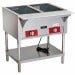 2 Well Steam Table