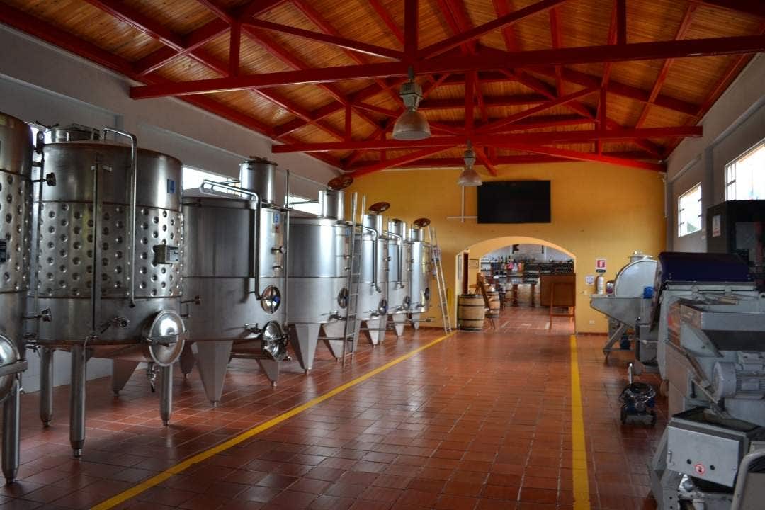 Interior view of winery tanks leading to patio tasting area