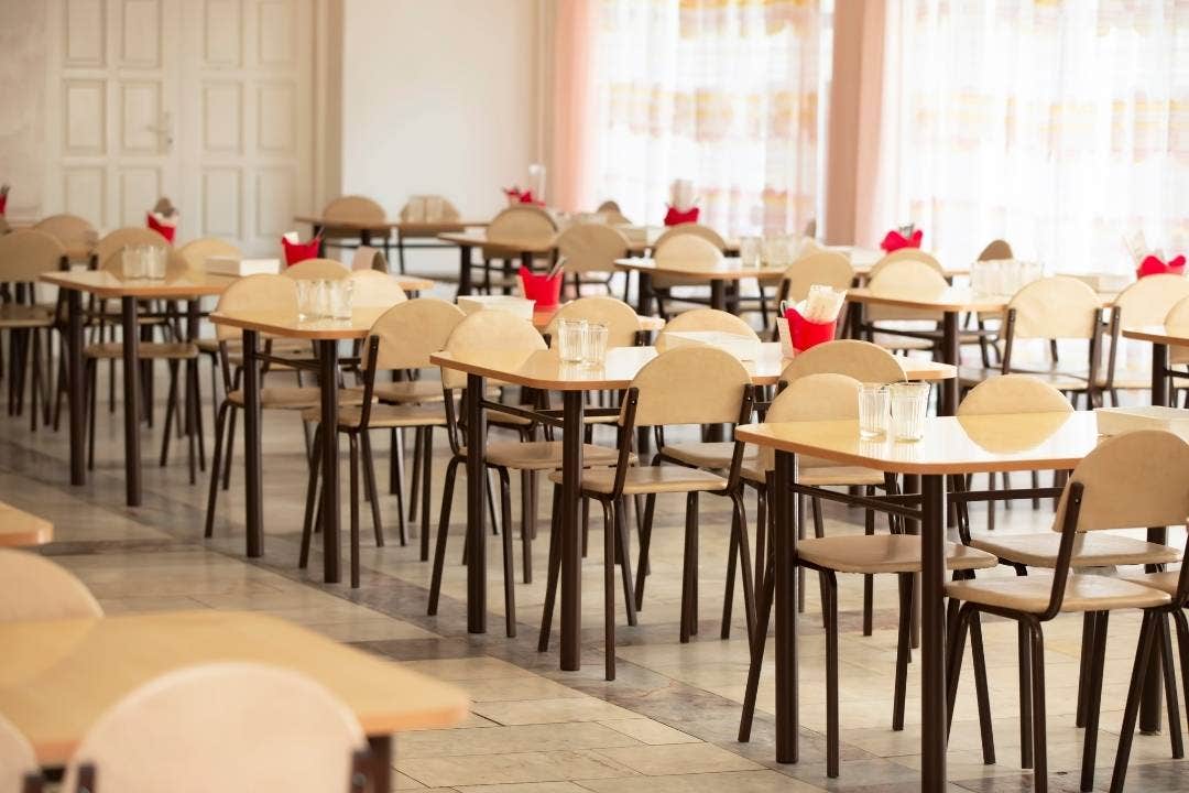 Empty school or hospital cafeteria with rows of light wooden tables and chairs